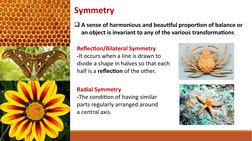 Symmetry Patterns in Nature | PDF | Pattern | Symmetry