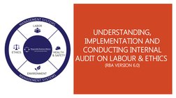 Rba Audit Guide.pdf RBA Code of Conduct: Audit & Compliance Guide | PDF | Corporate Social ...
