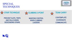 SIPP Body Control Techniques Overview | PDF