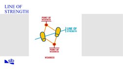 SIPP Body Control Techniques Overview | PDF