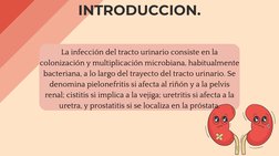 La infección del tracto urinario consiste en la
colonización y multiplicación microbiana, habitualmente
bacteriana, a lo larg