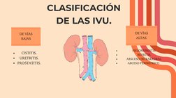 DE VÍAS
BAJAS
DE VÍAS
ALTAS.
CLASIFICACIÓN
DE LAS IVU.
CISTITIS.
URETRITIS.
PROSTATITIS.
PIELONEFRISTIS.
NEFRITIS.
ABSCESO IN