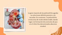 La gran mayoría de las pielonefritis agudas
se solucionan definitivamente y sin
secuelas. En ocasiones, "la pielonefritis
evo
