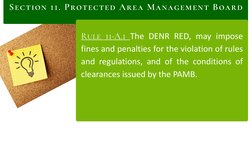 Structure and Role of PAMB in Management | PDF | Governance | Government