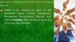 Structure and Role of PAMB in Management | PDF | Governance | Government