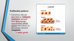 Proliferative patterns
• Cancerous cells are 
described as malignant 
neoplasms because 
they demonstrate 
uncontrolled cellu