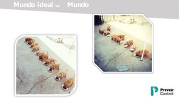 Mundo ideal vs
Mundo 
real
