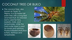 Local Materials and Crafts of Nueva Ecija | PDF | Bamboo | Plants