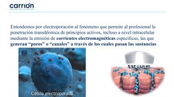 Entendemos por electroporación al fenómeno que permite al profesional la 
penetración transdérmica de principios activos, in
