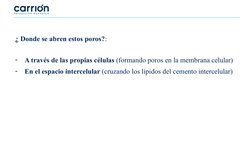 ¿ Donde se abren estos poros?:
-
A través de las propias células (formando poros en la membrana celular)
-
En el espacio inte