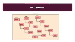 RAD MODEL
