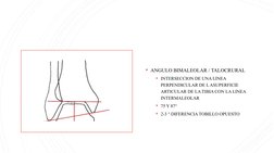 Tibia Linea Mediciones Radiográficas del Tobillo | PDF | Tobillo | Sistema esquelético
