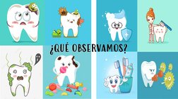 ¿QUÉ OBSERVAMOS?
