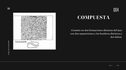 Consiste en dos formaciones distintas del lazo
con dos separaciones y los hombros distintos y
dos deltas.
004
CLASE. DACTIL