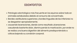 ODONTOFITOS
Patología odontológica más frecuente en los equinos sobre todo en
animales estabulados debido al consumo de conce