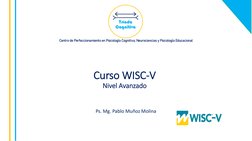 Curso WISC-V 
Nivel Avanzado
Ps. Mg. Pablo Muñoz Molina
Centro de Perfeccionamiento en Psicología Cognitiva, Neurociencias y