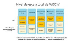 Nivel de escala total de WISC-V
Comprensión 
Verbal
Analogías
Vocabulario
Información *
Comprensión*
Visoespacial
Construcció