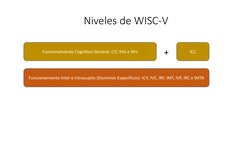 Niveles de WISC-V
Funcionamiento Cognitivo General: CIT, IHG e INV
Funcionamiento Inter e Intrasujeto (Dominios Específicos):