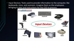 • Input Devices: Tools used to provide information to the computer, like 
keyboards, mice, and scanners. Imagine them as the
