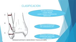 CLASIFICACION
AVULSION-SUPINACION
SUPINACION-ADUCCION 
LAUGE HANSEN
OBLICUAS-ESPIROIDEAS
50% SINDESMOSIS ANT
ROTURA SINDESMAL