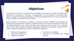 Objetivos
Este principio se refiere a coordinar las actividades y procesos en el lugar de trabajo para
maximizar la eficienci