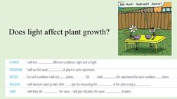 CORMMSS Method for IGCSE Biology Experiments | PDF