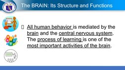 Understanding the Science of Reading | PDF | Phonics | Lateralization ...