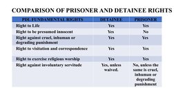 Rights of Persons Deprived of Liberty | PDF | Detention (Imprisonment ...