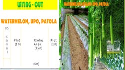 Field Layout Techniques in Agriculture | PDF | Crops | Agriculture