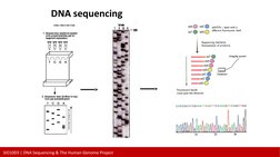 Overview of the Human Genome Project | PDF | Dna Sequencing | Genome