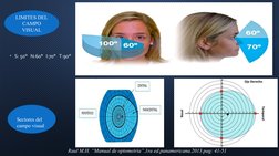 LIMITES DEL 
CAMPO 
VISUAL
• S: 50°   N:60°   I:70°   T:90°
Sectores del 
campo visual 
Raul M.H. “Manual de optometría”.1ra