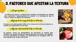 3. FACTORES QUE AFECTAN LA TEXTURA
3. FACTORES QUE AFECTAN LA TEXTURA
> Origen genético
 El ADN de las frutas o verduras que