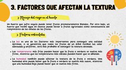 3. FACTORES QUE AFECTAN LA TEXTURA
3. FACTORES QUE AFECTAN LA TEXTURA
> Manejo del riego en el huerto
Un huerto que sufre seq