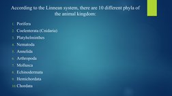 Overview of Kingdom Animalia Phyla | PDF | Nematode | Organisms
