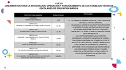 ANEXO 
LINEAMIENTOS PARA LA INTEGRACIÓN, OPERACIÓN Y FUNCIONAMIENTO DE LOS CONSEJOS TÉCNICOS 
ESCOLARES DE EDUCACIÓN BÁSICA 
