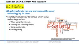 IGCSE ICT: Safety and Security Guide | PDF | Malware | Security