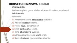 Izingcezu Zenkulumo Nezichasiso | PDF | Language Mechanics | Semantics