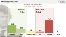 IMAGEN DE JAVIER MILEI
7
NEGATIVA
52,0
¿Qué imagen tiene de Javier Milei?
8-14 DE AGOSTO DE 2024 – TOTAL PAÍS
POSITIVA
41,9
2