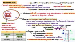 Class 11 Cell Structure Overview | PDF | Home & Garden