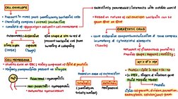 Class 11 Cell Structure Overview | PDF | Home & Garden