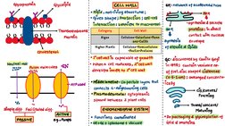 Class 11 Cell Structure Overview | PDF | Home & Garden