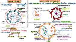 Class 11 Cell Structure Overview | PDF | Home & Garden