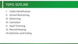 Beef Cattle Management Practices Guide | PDF | Cattle | Domesticated ...