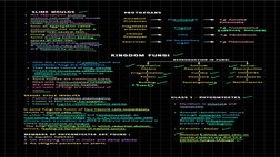 Are saprophytic protists,
without cell walls. slime moulds
possess true walls. 
Under favourable conditions,
form an aggregat
