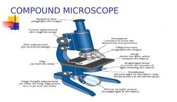 COMPOUND MICROSCOPE
