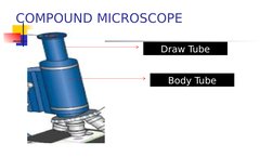COMPOUND MICROSCOPE
Draw Tube
Body Tube
