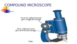 COMPOUND MICROSCOPE

