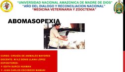 ABOMASOPEXIA
CURSO: CIRUGÍA DE ANIMALES MAYORES
DOCENTE: M.V.Z DENIS LLANA LÓPEZ
EXPOSITORES: 
EDITH SURCO HUAMAN
JUAN CARL