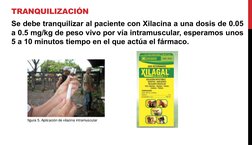 TRANQUILIZACIÓN
Se debe tranquilizar al paciente con Xilacina a una dosis de 0.05 
a 0.5 mg/kg de peso vivo por vía intramusc