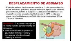 DESPLAZAMIENTO DE ABOMASO
El desplazamiento de abomaso es una alteración del aparato digestivo 
de los rumiantes, que afecta